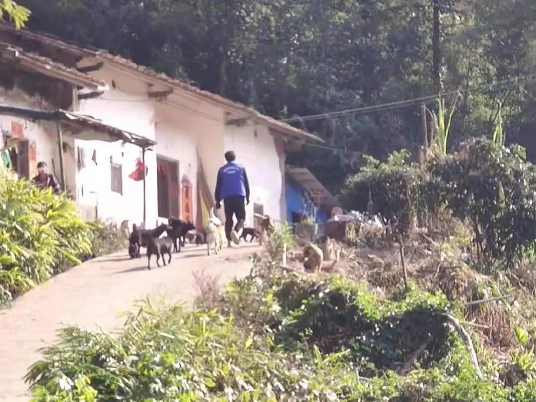 阳春房地一体项目纪实丨无悔青春多砥砺，最是奋斗动人心