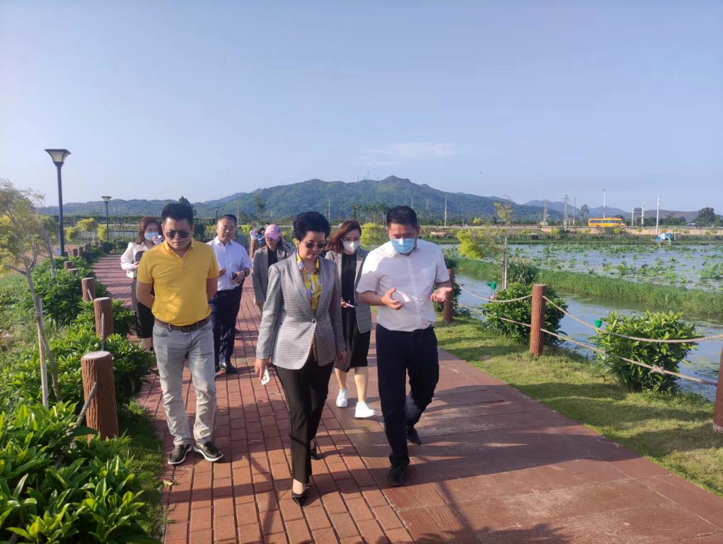 省生态建复协会轮值会长单元优德88集团带队赴汕尾全域地皮整治军民融合试点项目调研