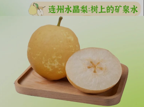 “桃李”炎暑，清冷一夏