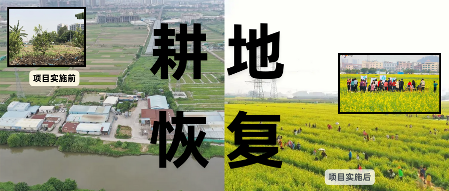 耕地；び刖梅⒄构踩凇甘泻窠终蛩谏缜读继锵钅扛馗丛氤窍缛诤系拇葱率导