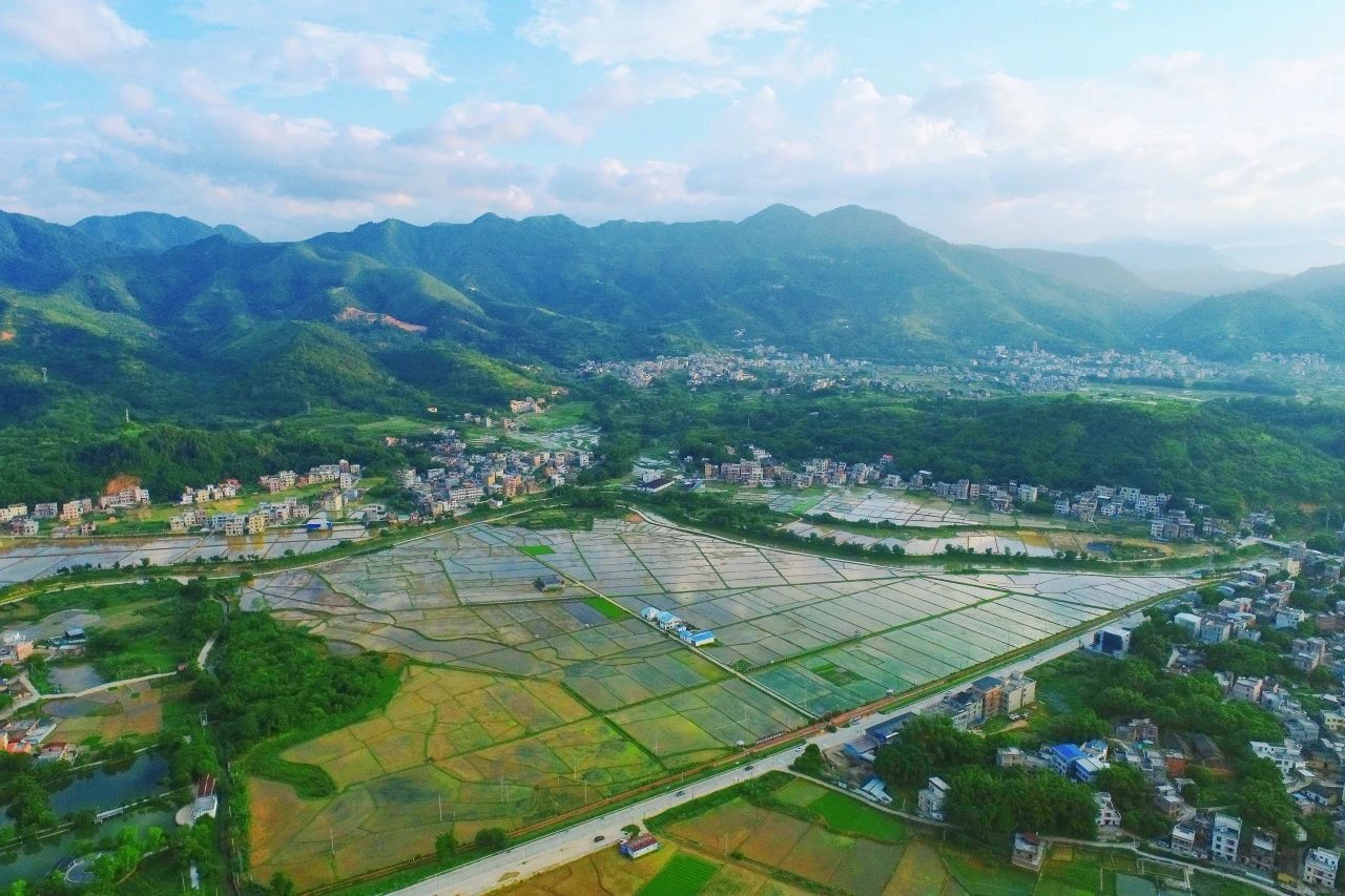 优德88集团丨“百千万工程”显实效：云浮罗定泗纶镇以全域地皮综合整治为抓手，绘就村落振兴新画卷